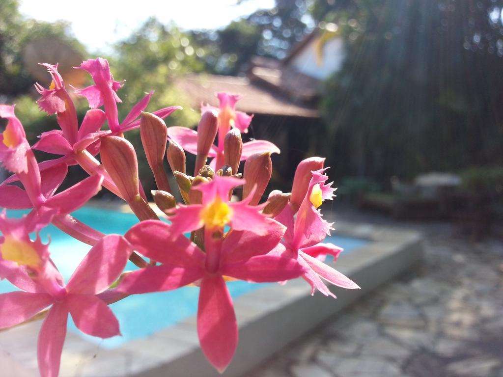 Pousada Alicia Búzios Exterior foto